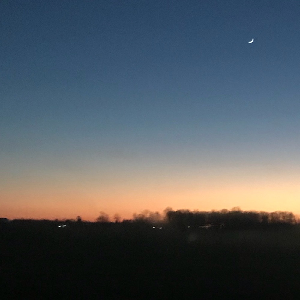 Meet your Posher, Carrigan